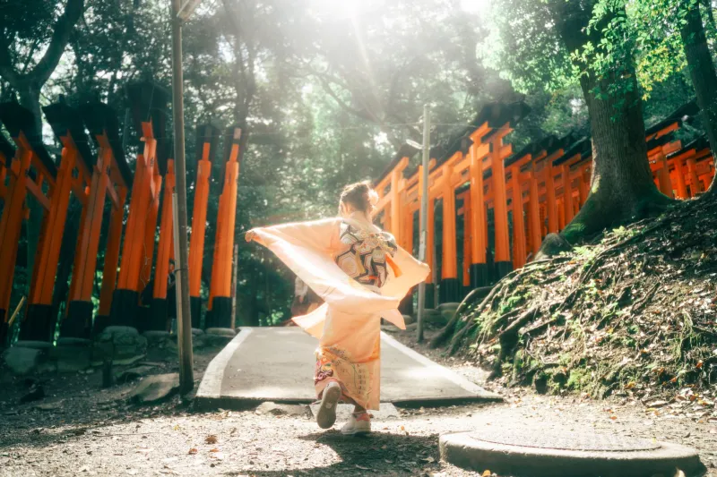 A Year Inside the Sacred: What Americans Discover When They Train as Shrine Priests and Miko