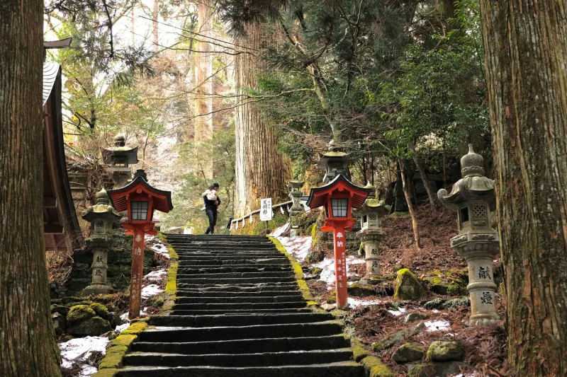Rooted in the Sacred: How Japan's Shrine Gardens Encode Spiritual Meaning Into Every Leaf and Stone
