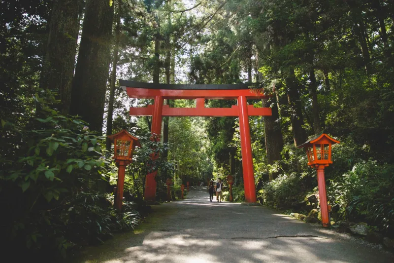 Off the Beaten Torii: Japan's Most Remarkable Shrines That Have Nothing to Do With Kyoto