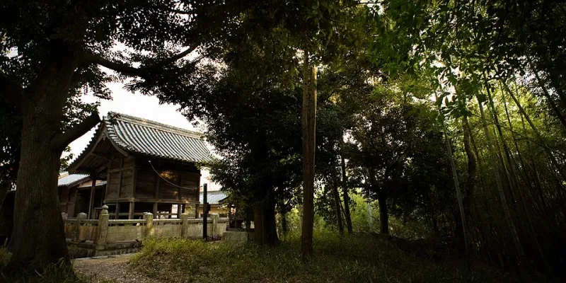 Where Ancient Ritual Meets Modern Wellness: The Science Behind Shrine Visits