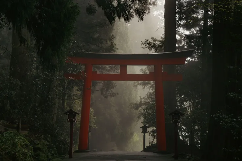 Ancient Calm in a Modern Crisis: How Japan's Shinto Shrines Are Offering Real Relief to Burned-Out Americans