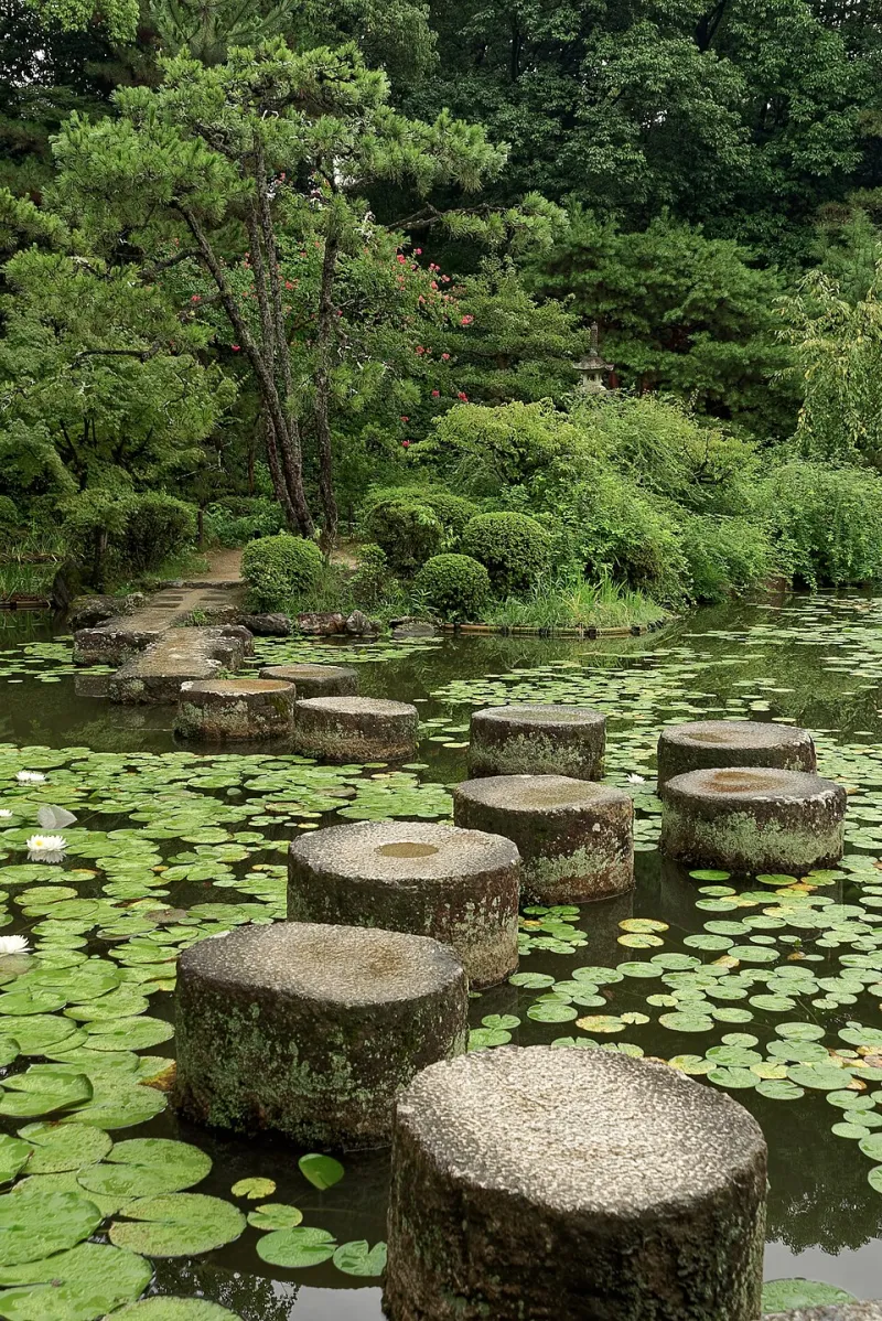 The Hidden Architecture of Calm: How Shrine Landscapes Are Built to Restore the Human Mind